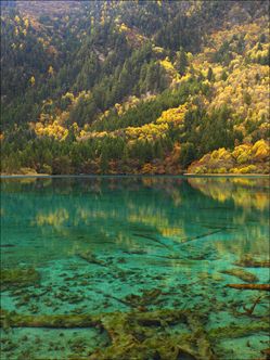 Jiuzhaigou National Park - China SQ V (PBH4 00 15437)